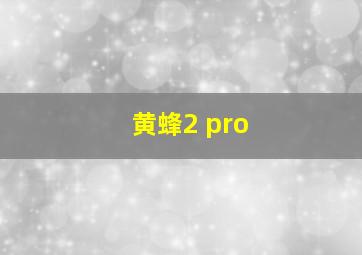 黄蜂2 pro